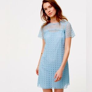 Loft blue lace shift dress 8